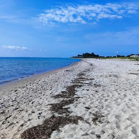 6 Person In Sydals-by Traum *